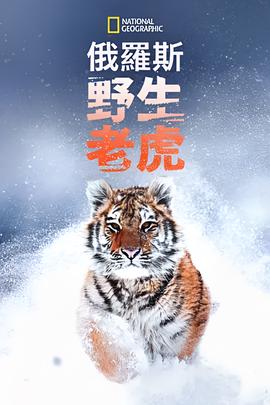 冥界篇前章