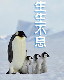 还珠格格之再续前缘
