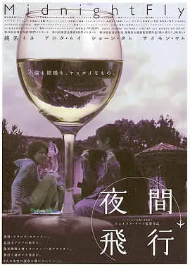 碧血剑黄日华版国语全集剧情