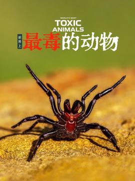 锦绣南歌王妃