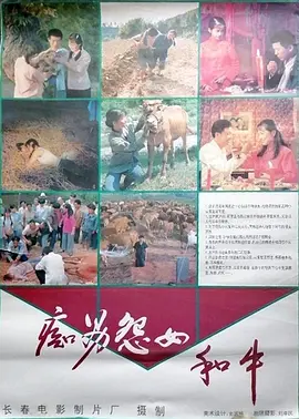 守望的天空电视剧