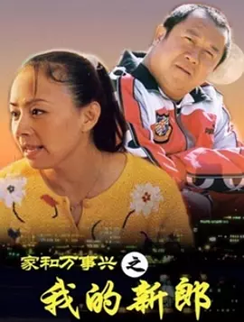 飞虎神鹰1一42集连续剧下载