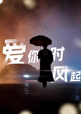 傻儿司令川话方言版高清