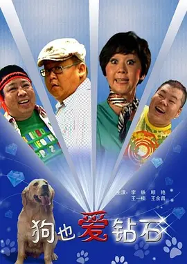 老米家的婚事全集视频
