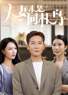 麻辣教师真人版电视剧