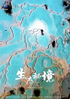 不解之谜电影
