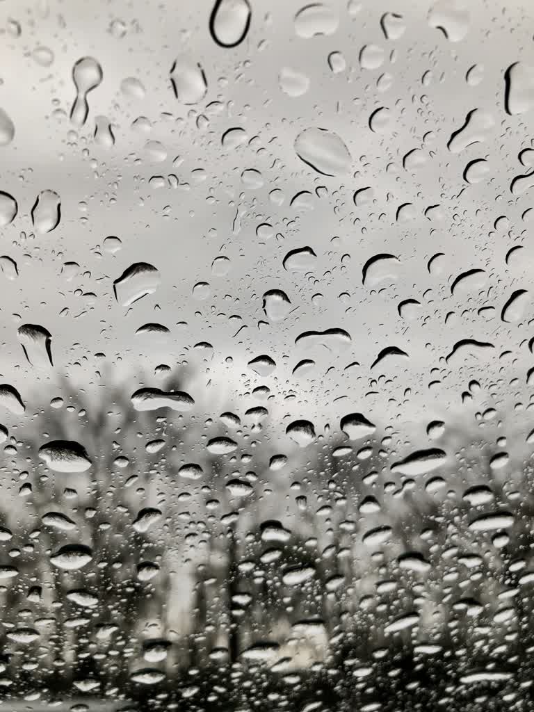 窗玻璃上的水滴,背景是一棵树