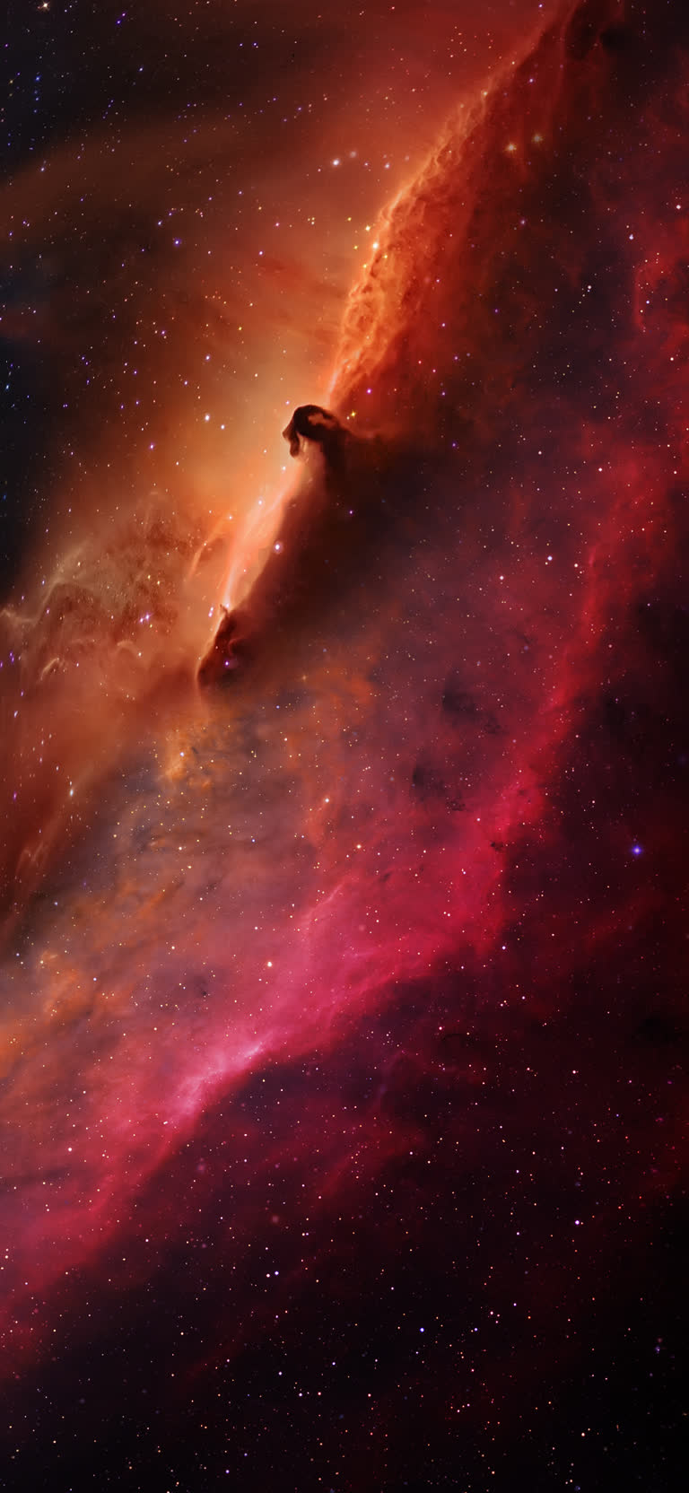 天空中央有一颗非常大的星星