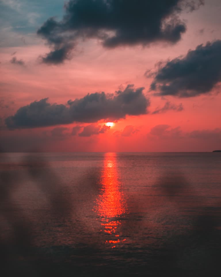 太阳落在水体的地平线上