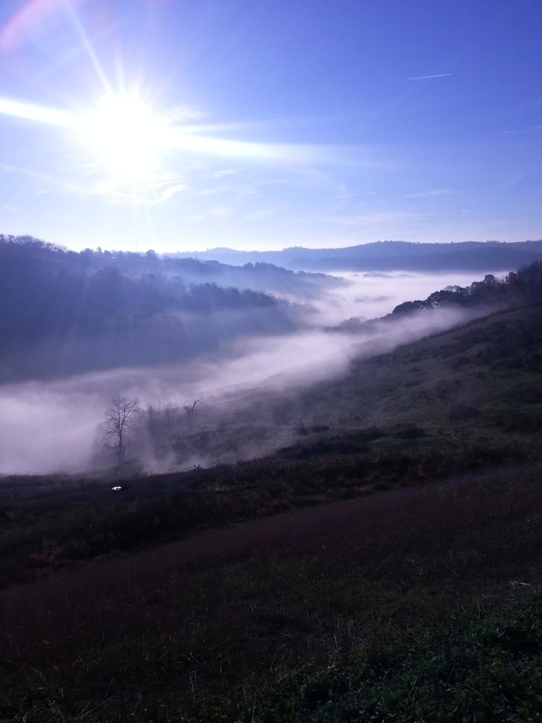 晴天有雾山谷的景色