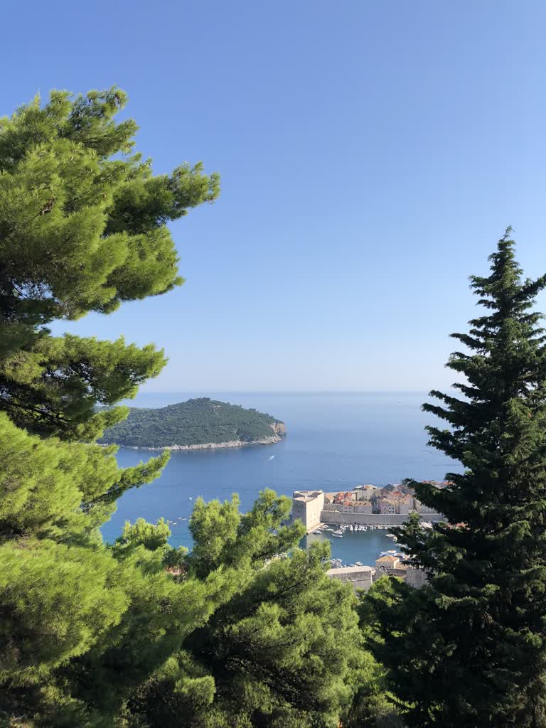 从山顶可以看到水景